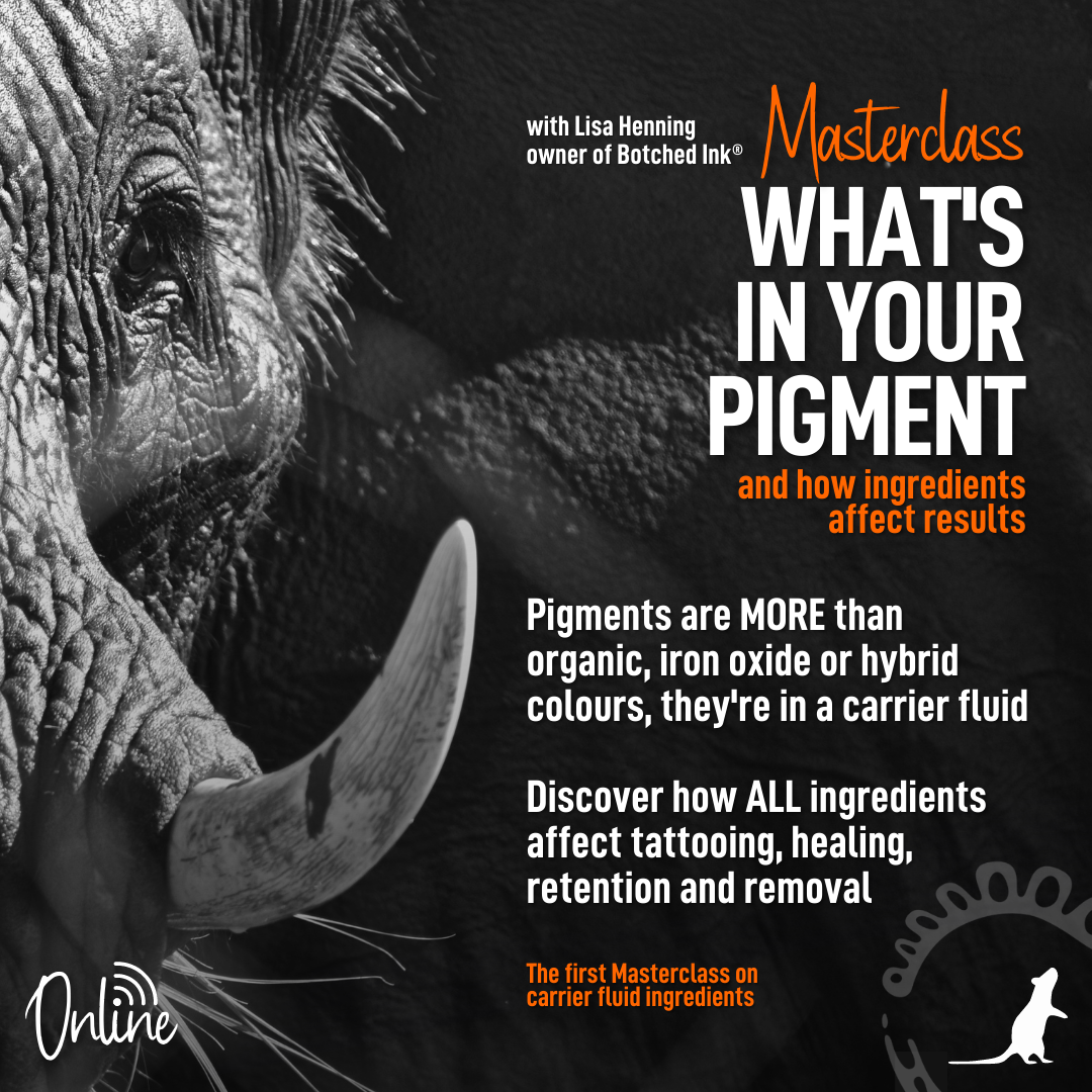 'What's in your Pigment' Masterclass Botched Ink Elephant